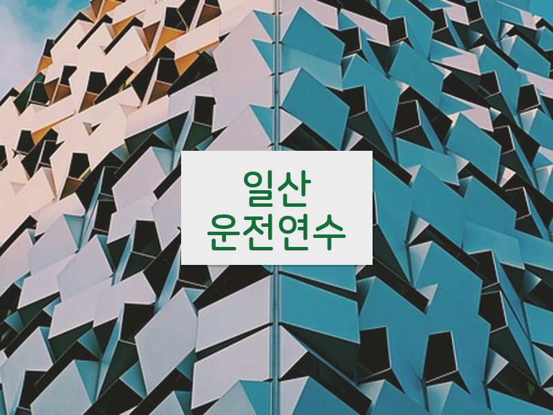 일산운전연수 후기