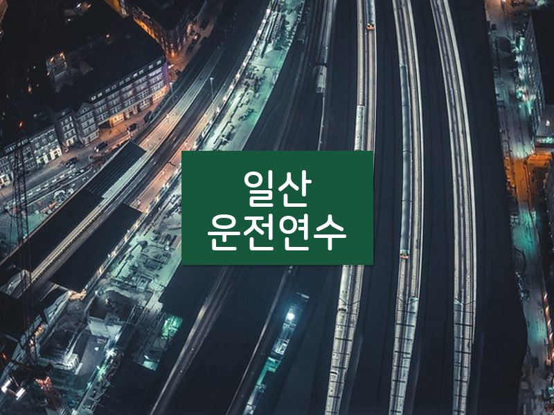 일산운전연수 후기