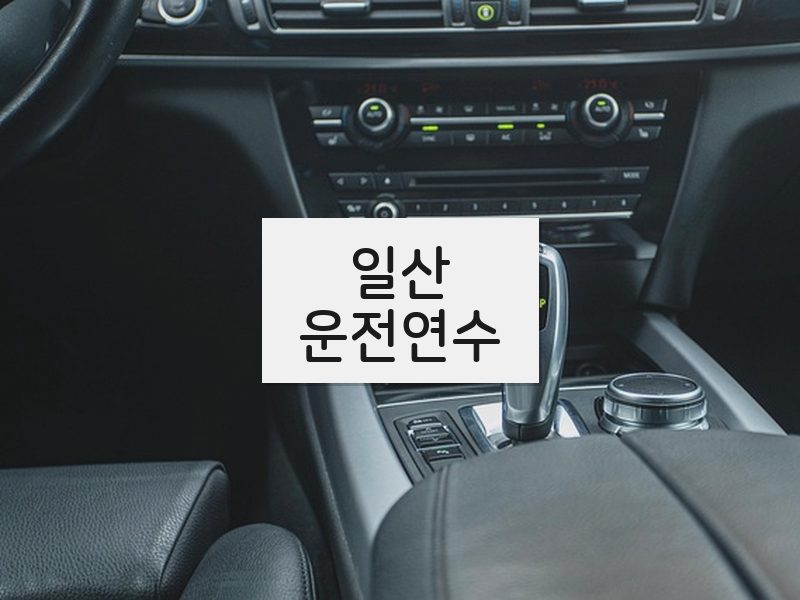 일산운전연수 후기