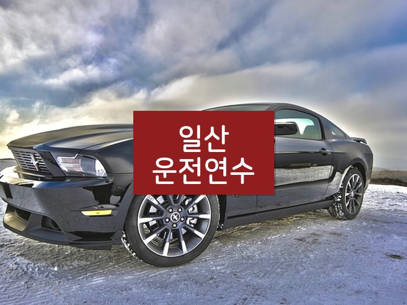 일산운전연수 후기