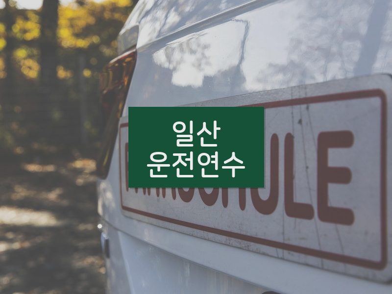 일산운전연수 후기
