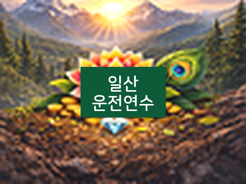일산운전연수 후기