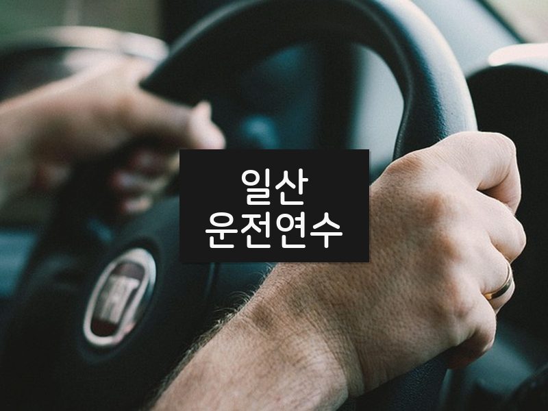 일산운전연수 후기