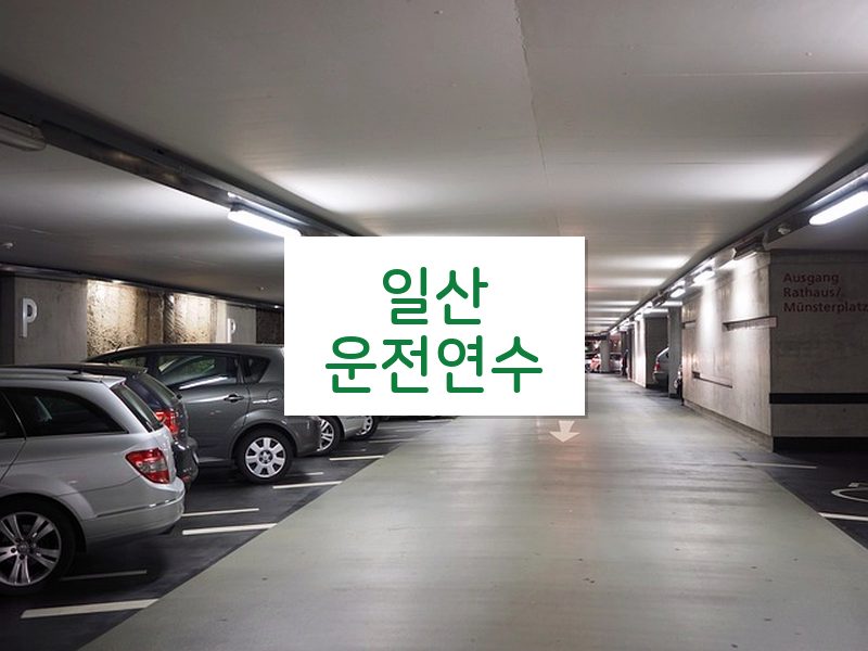 일산운전연수 후기