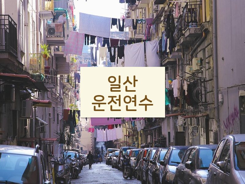 일산운전연수 후기