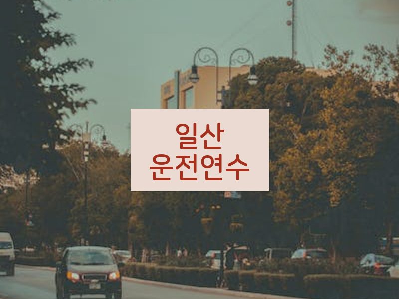 일산운전연수 후기