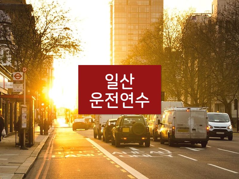 일산운전연수 후기