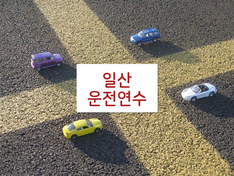 일산운전연수 후기