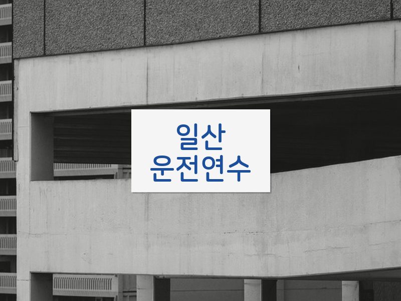 일산운전연수 후기