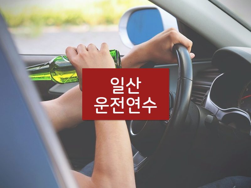 일산운전연수 후기