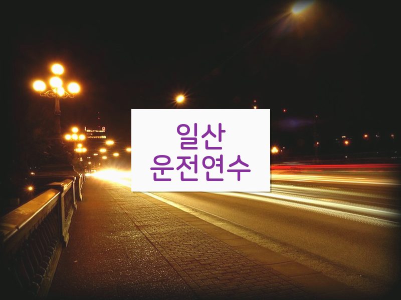 일산운전연수 후기