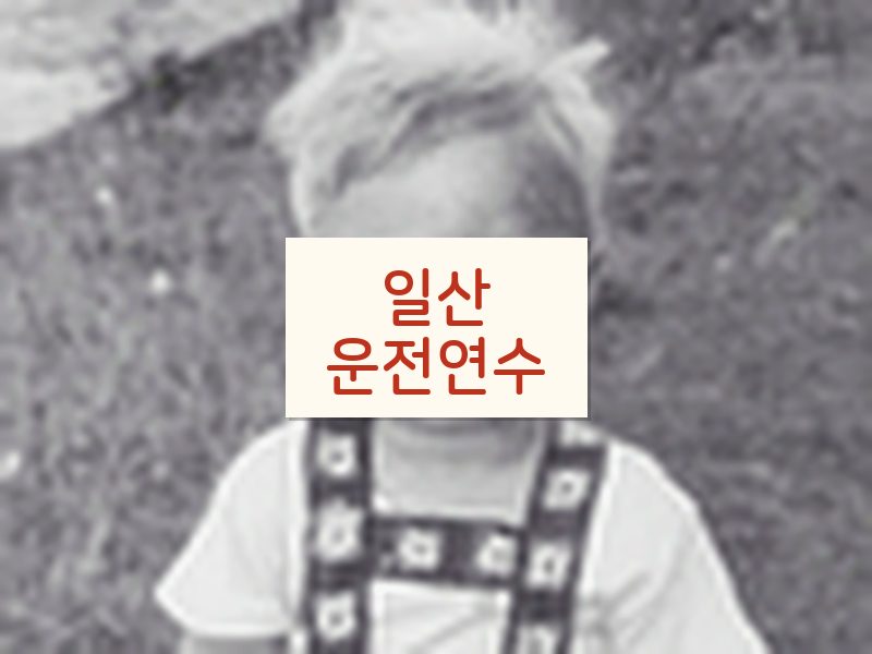 일산운전연수 후기