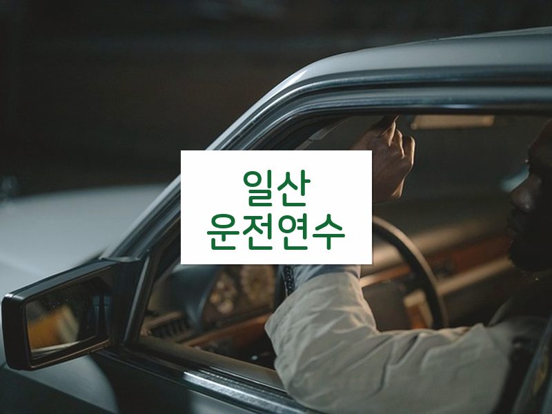 일산운전연수 후기