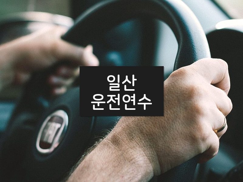 일산운전연수 후기