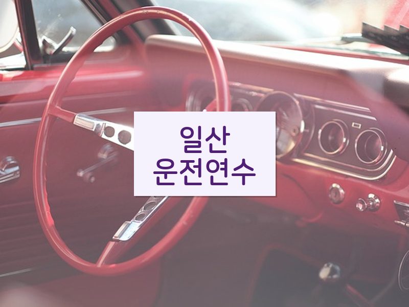 일산운전연수 후기