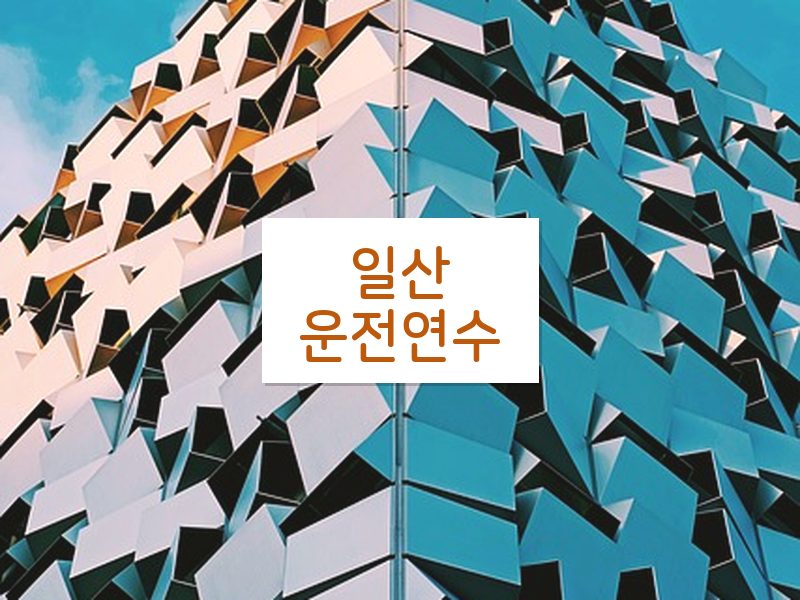 일산운전연수 후기