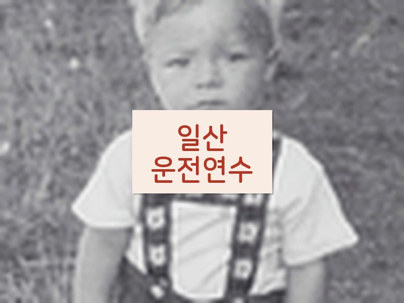 일산운전연수 후기
