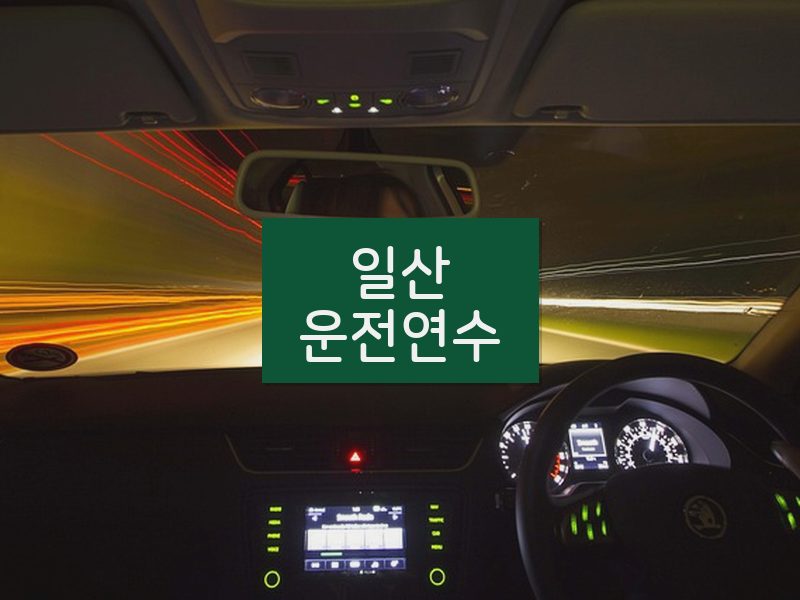 일산운전연수 후기