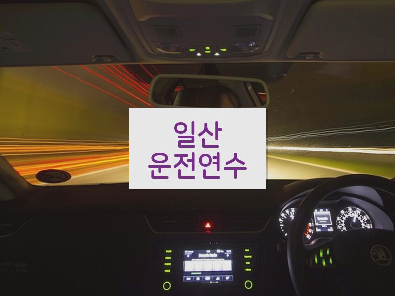 일산운전연수 후기