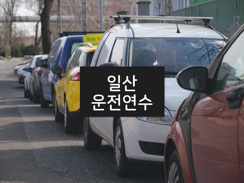 일산운전연수 후기