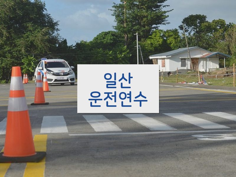 일산운전연수 후기