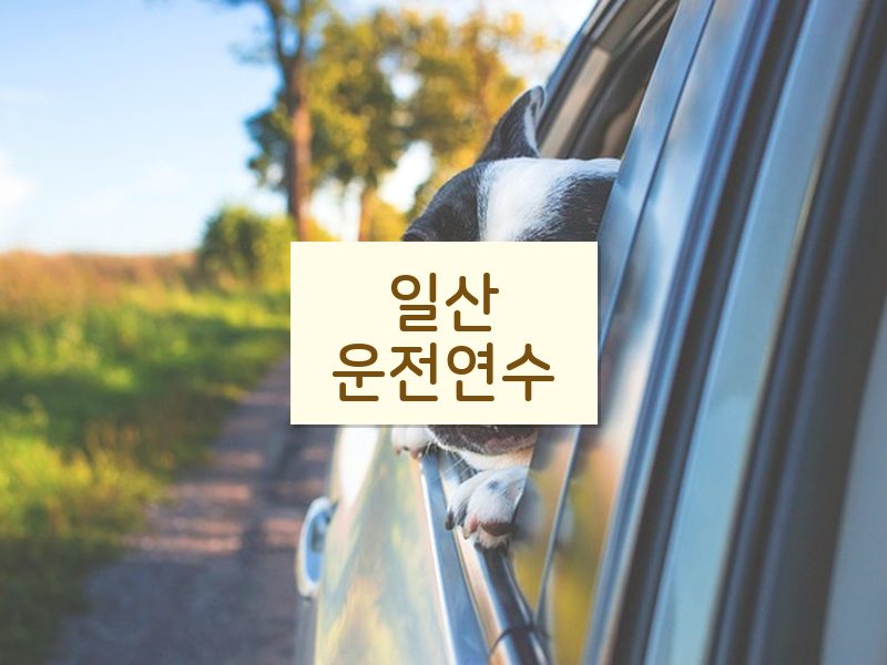 일산운전연수 후기