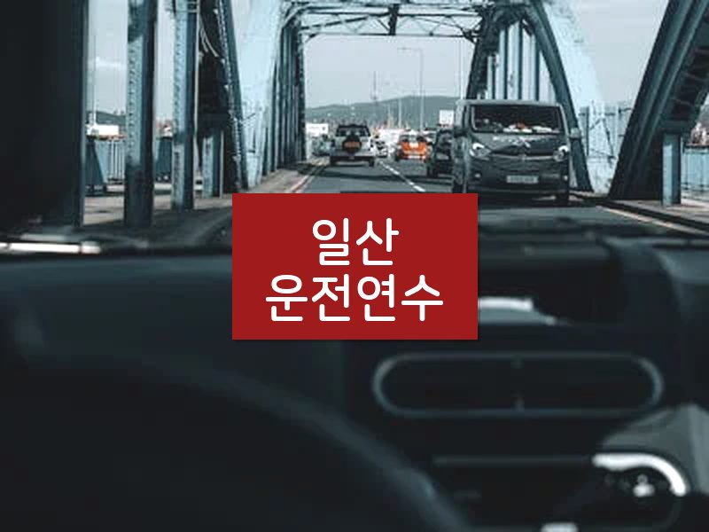 일산운전연수 후기