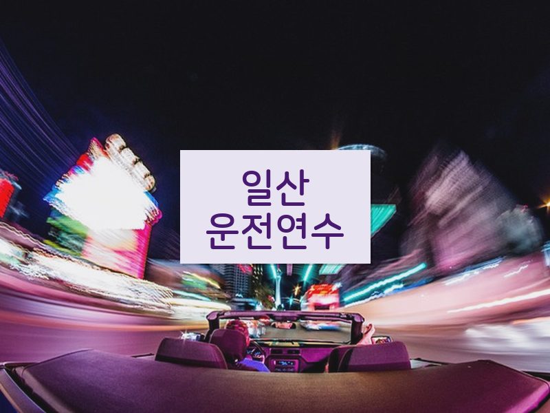 일산운전연수 후기