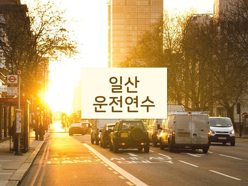 일산운전연수 후기