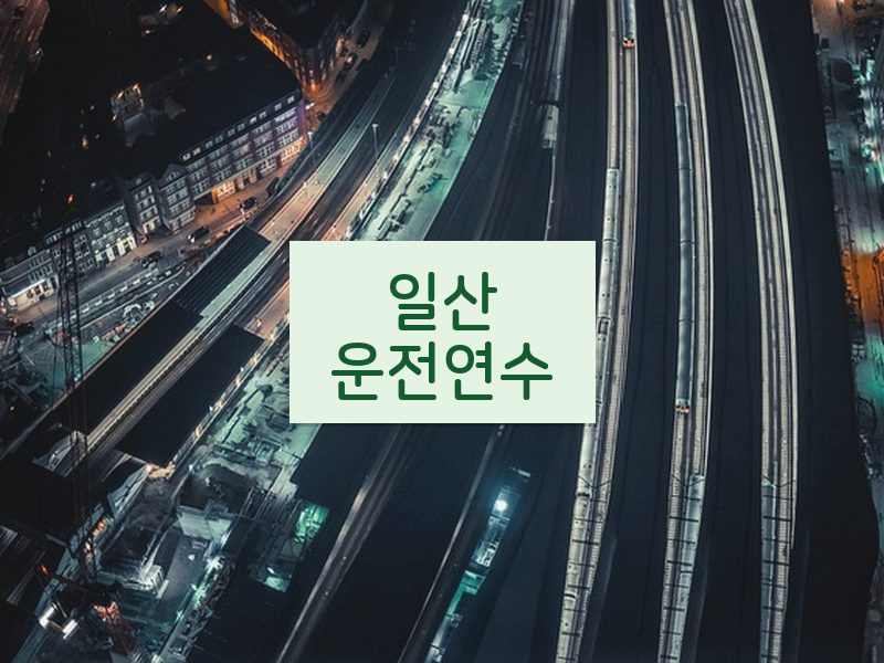 일산운전연수 후기