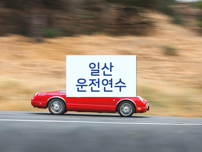일산운전연수 후기