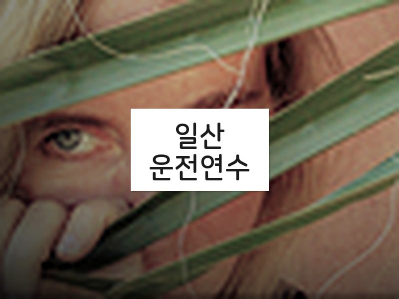 일산운전연수 후기