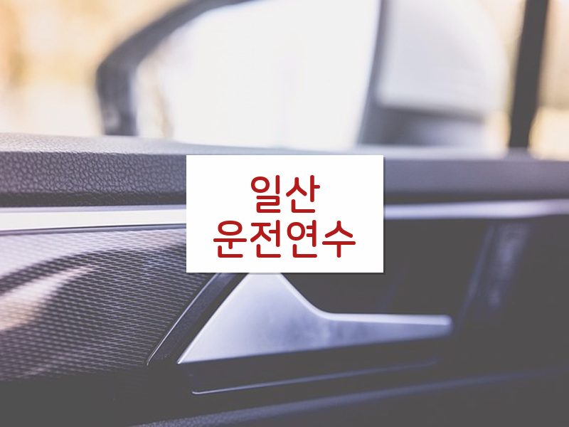 일산운전연수 후기