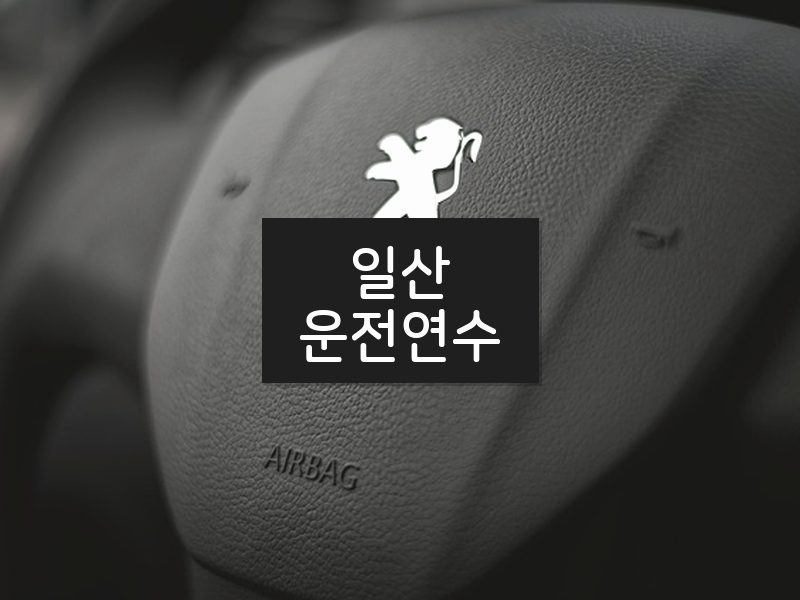 일산운전연수 후기