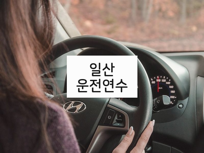 일산운전연수 후기