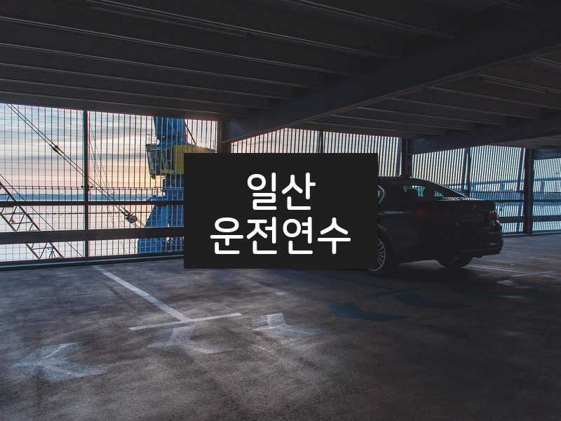 일산운전연수 후기