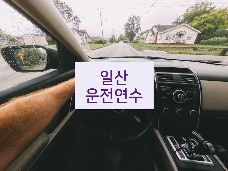 일산운전연수 후기