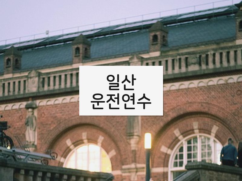 일산운전연수 후기