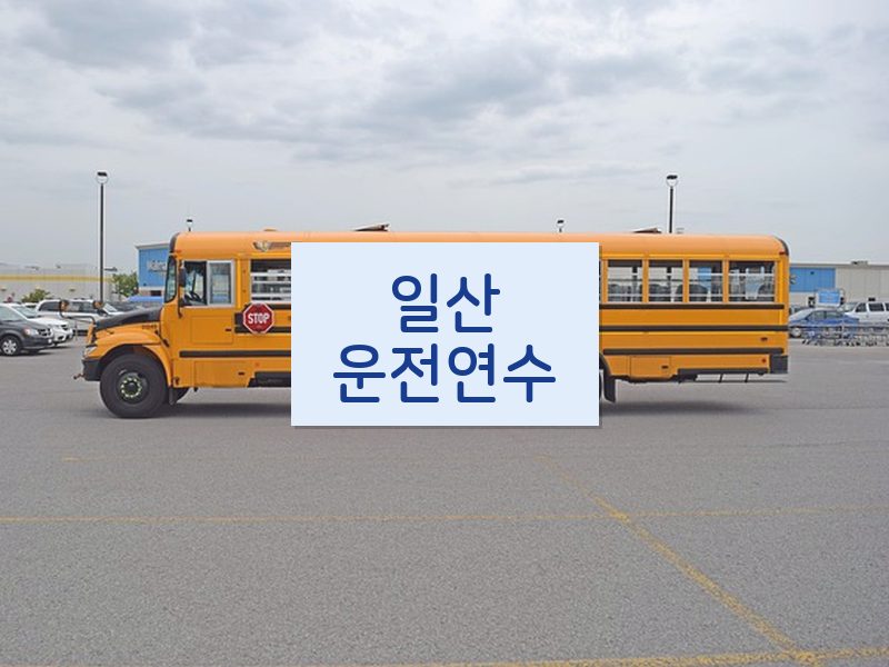 일산운전연수 후기