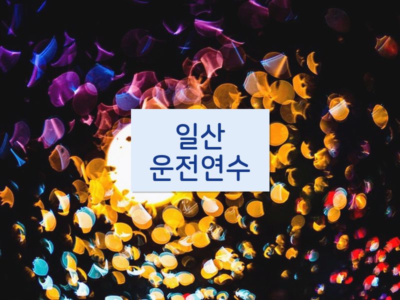 일산운전연수 후기