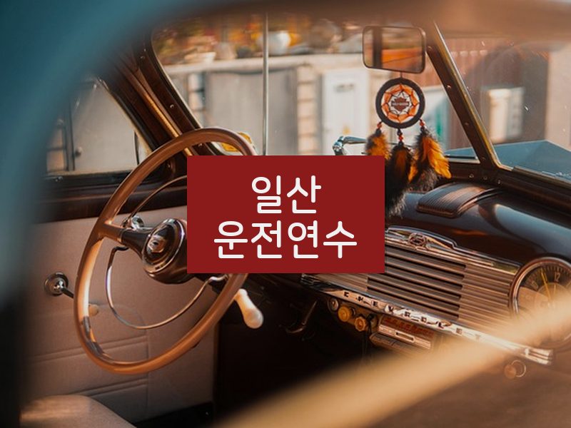 일산운전연수 후기