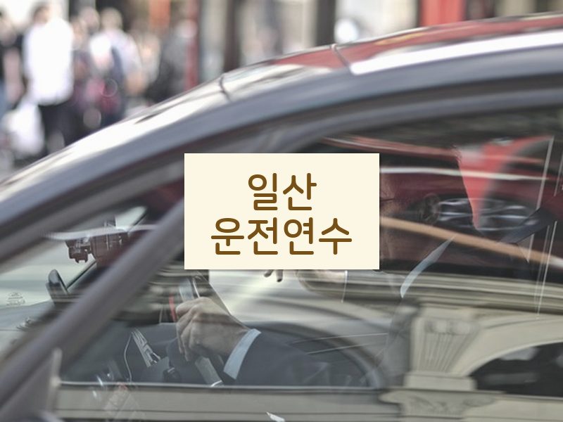 일산운전연수 후기