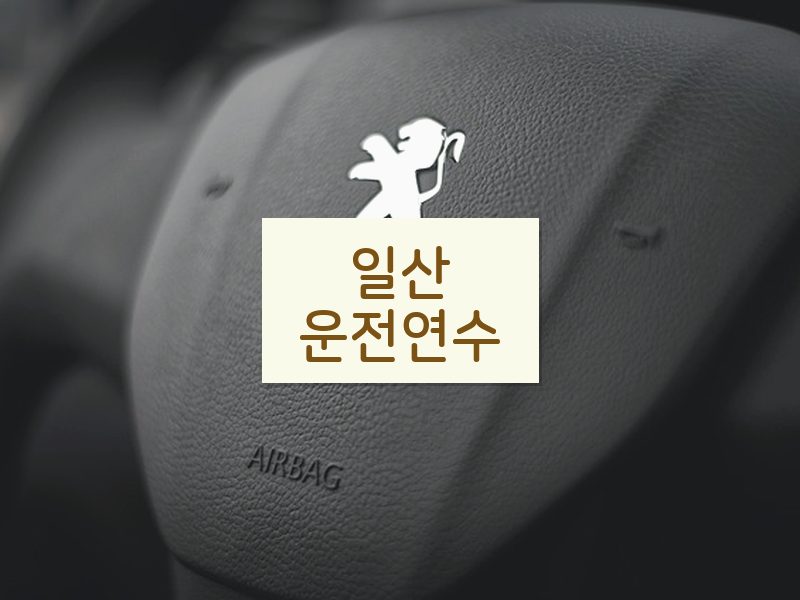 일산운전연수 후기