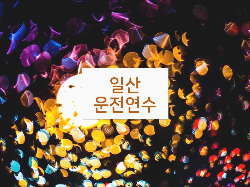 일산운전연수 후기