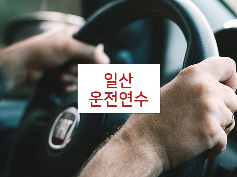 일산운전연수 후기