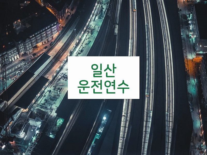 일산운전연수 후기