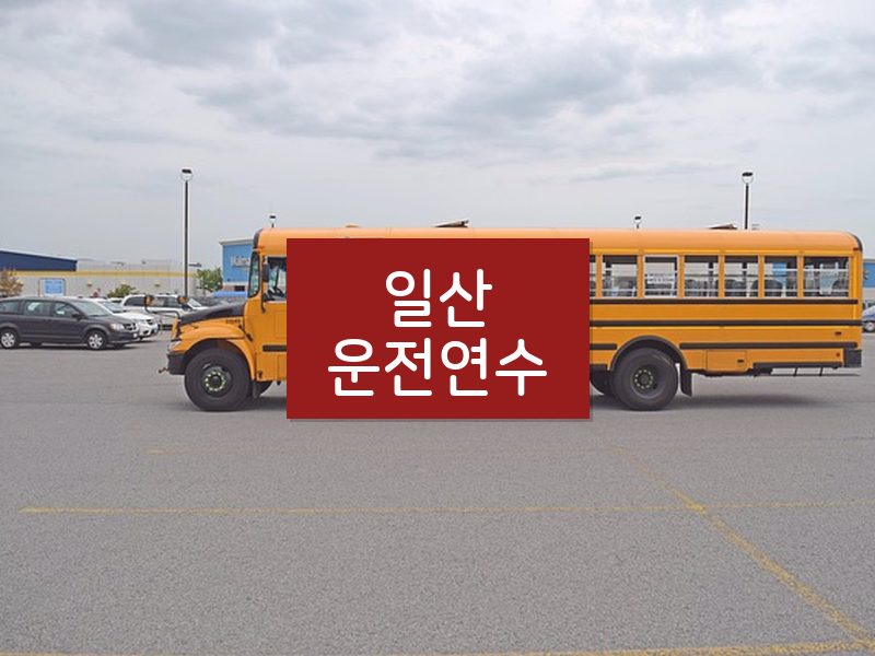 일산운전연수 후기