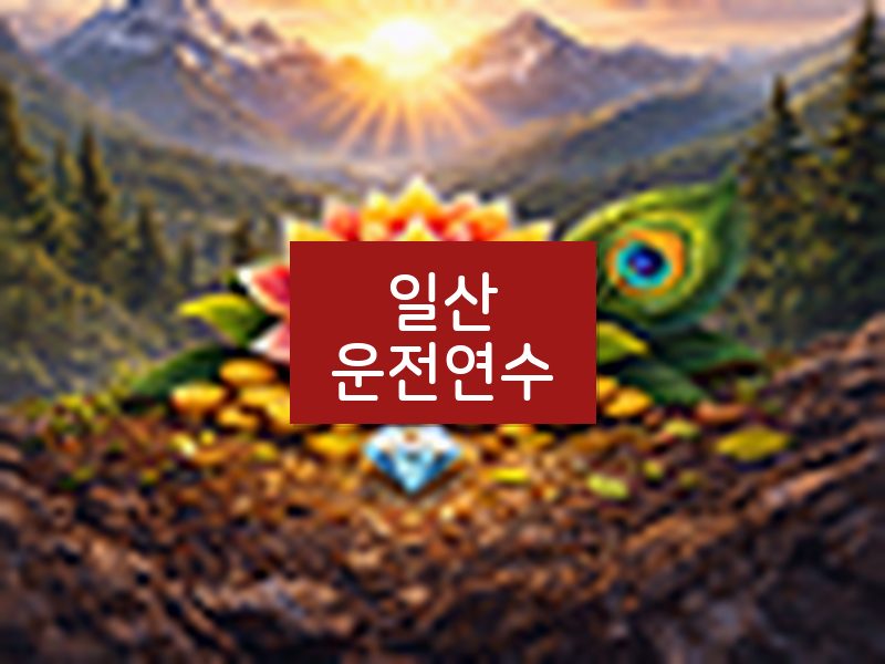 일산운전연수 후기
