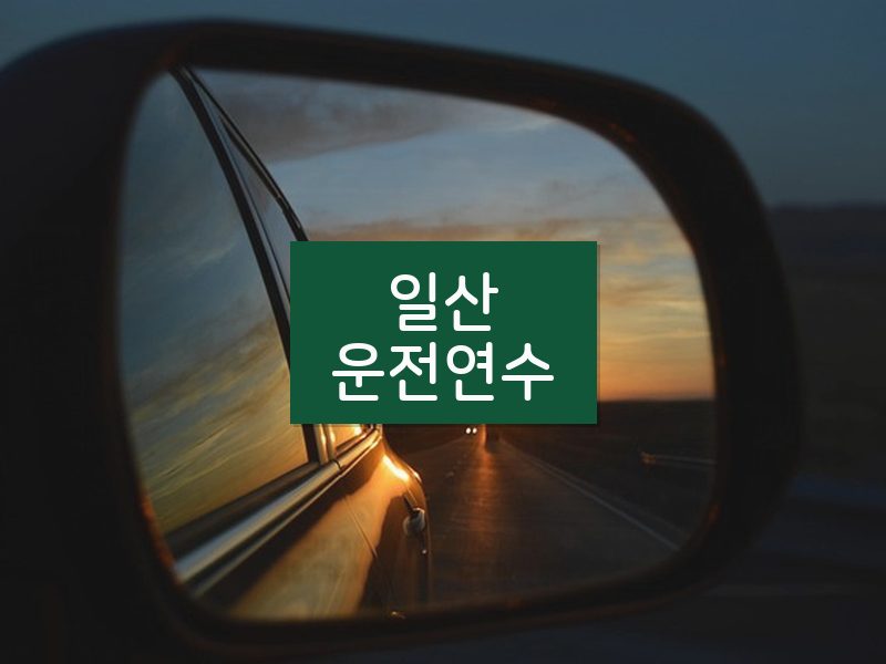 일산운전연수 후기