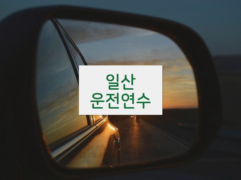 일산운전연수 후기